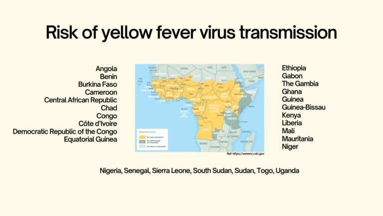 yellow fever vaccination Gorleston nr31