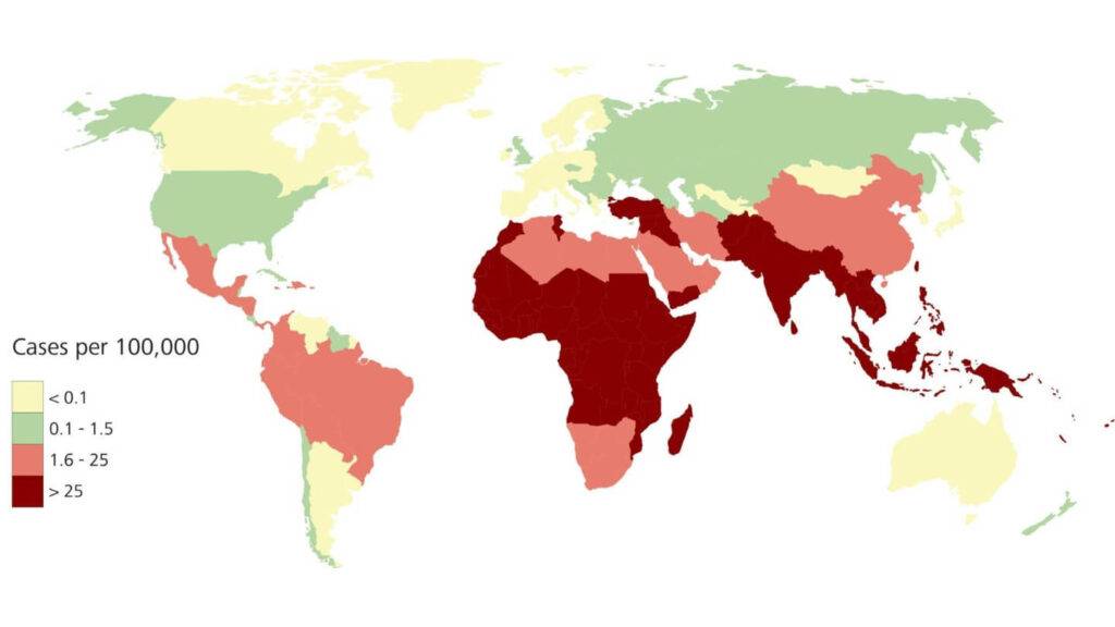 typhoid fever and prevention